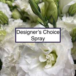 Designer's Choice Spray