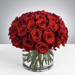 Three Dozen Red Roses by BloomNation™