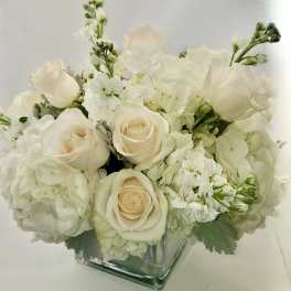 White roses and hydrangeas arranged in a square glass vase