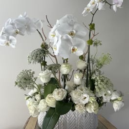 White orchids and roses arranged in a white ceramic vase