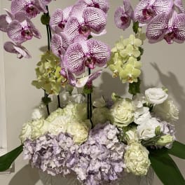 Arrangement of pink orchids, white roses, and pale hydrangeas in a vase