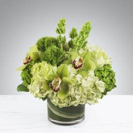 Compact green and white orchid and hydrangea arrangement in a leaf-lined glass cylinder vase
