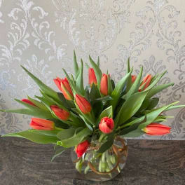 Orange tulips arranged in a clear glass vase