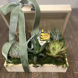 Succulent arrangement in a wooden box with a ribbon and small gnome figurine