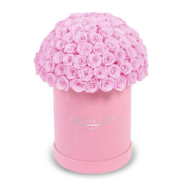 Pink roses arranged in a round hatbox