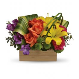 Teleflora's Shades Of Brilliance Bouquet