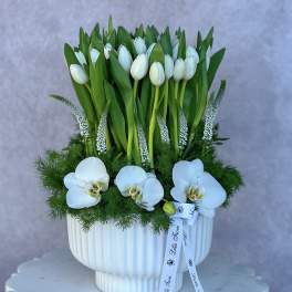 White tulips and orchids arranged in a white pedestal vase