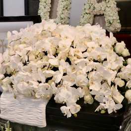 White Rose and Orchid Casket Spray