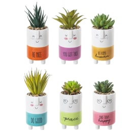 Six small potted succulents in smiling ceramic planters with colorful bases