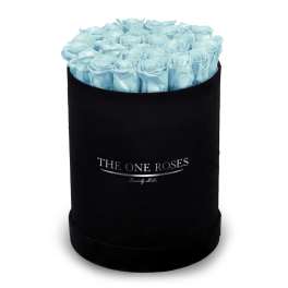 Light blue roses arranged in a black round box