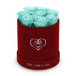 Turquoise roses in a red round box