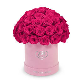 Hot pink roses arranged in a pink round box