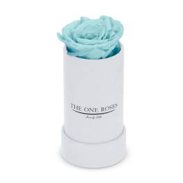 Single blue rose in a white cylindrical box