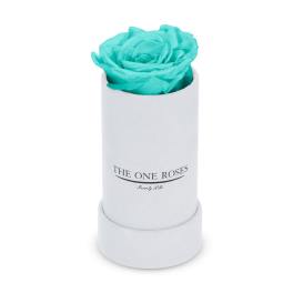 Single turquoise rose in a white cylindrical box
