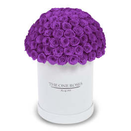 Purple roses arranged in a white round box
