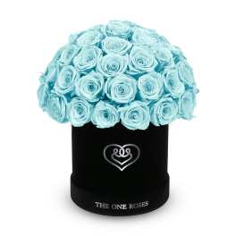 Light blue roses arranged in a black round box