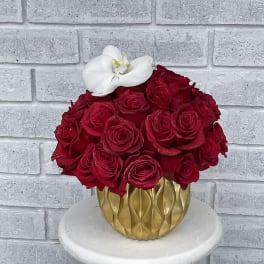 Red roses in a gold vase with a white orchid accent
