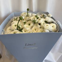 White ranunculus bouquet in a light blue box