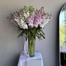 Tall arrangement of pink and white stock flowers in a clear glass vase with trailing ribbons