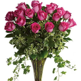 Dreaming in Pink - 24 Long Stemmed Pink Roses