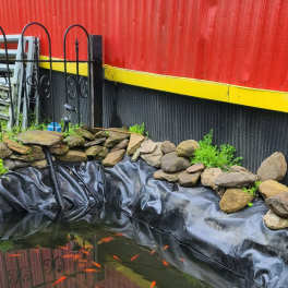 Outdoor pond with orange fish, rocks, and floating aquatic plants