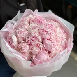 Bouquet of pale pink peonies wrapped in white paper