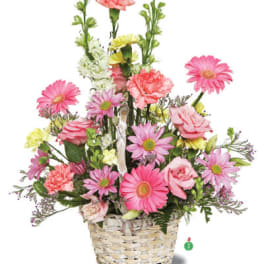 Tall mixed basket of pink gerbera daisies, carnations, roses, and daisies in a white woven basket