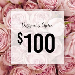 Designer's Choice -$100