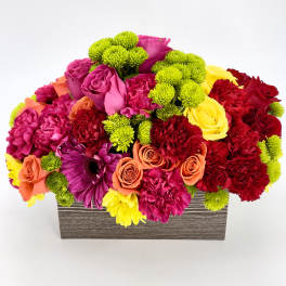 Low rectangular arrangement of bright pink, red, yellow, and orange flowers with green button mums in a wood box