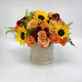 Compact arrangement of yellow sunflowers, orange roses, and burgundy mums in a cream ceramic cylinder vase