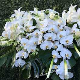 White Orchid Casket