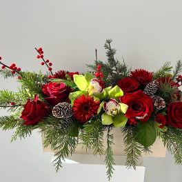 Red roses and green orchids arranged with pinecones and evergreen branches in a wooden box.