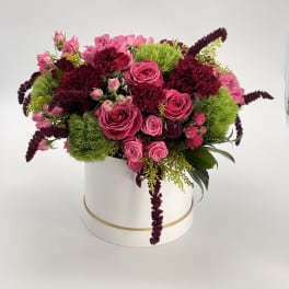 Low round arrangement of hot pink roses and burgundy blooms with green accents in a white hatbox container