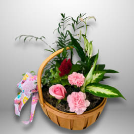 Garden Elegance Basket by Latin Lady Flowers