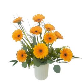 Orange gerbera daisies arranged in a white vase