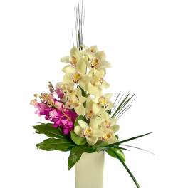 Tall orchid arrangement in a rectangular vase with cream and pink blooms