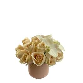 Cream roses and white orchids in a blush vase