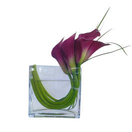 Purple calla lilies in a square glass vase