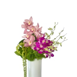 Pink and purple orchids arranged in a white vase