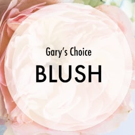 Designer's Choice Blush