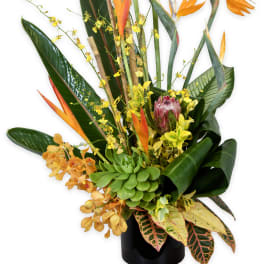 Tropical flower arrangement with orange bird-of-paradise blooms in a black vase