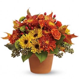 Autumn bouquet of yellow and orange flowers in a terracotta pot