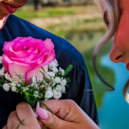 Pink rose boutonniere with white filler flowers being pinned on a shirt
