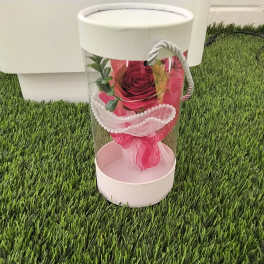 Single red rose in a clear gift box with pink ribbon