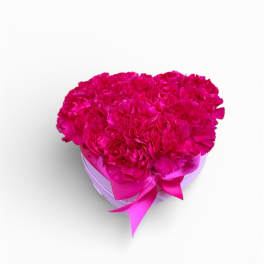 Hot pink carnation arrangement in a heart-shaped box with ribbon