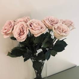 1 Dozen You Pick Color Roses - Vase