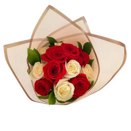 Bouquet of red and white roses wrapped in translucent paper