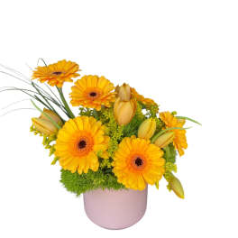 Low arrangement of bright yellow gerbera daisies and lily buds in a pink pot