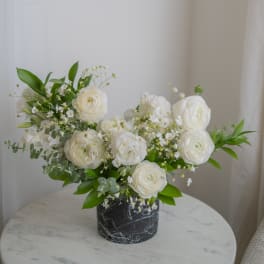 White ranunculus arrangement in a black marble vase