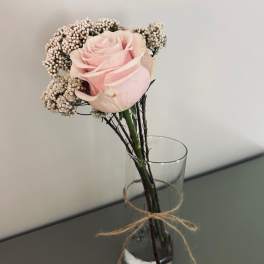 Single Rose with Foliage - Vase